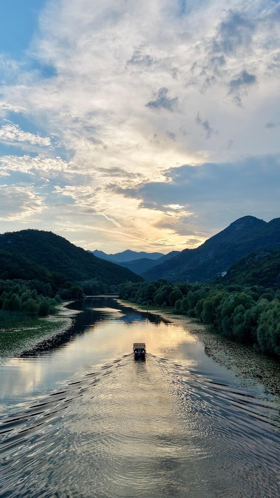 Vista aérea de los cañaverales y canales del lago Skadar