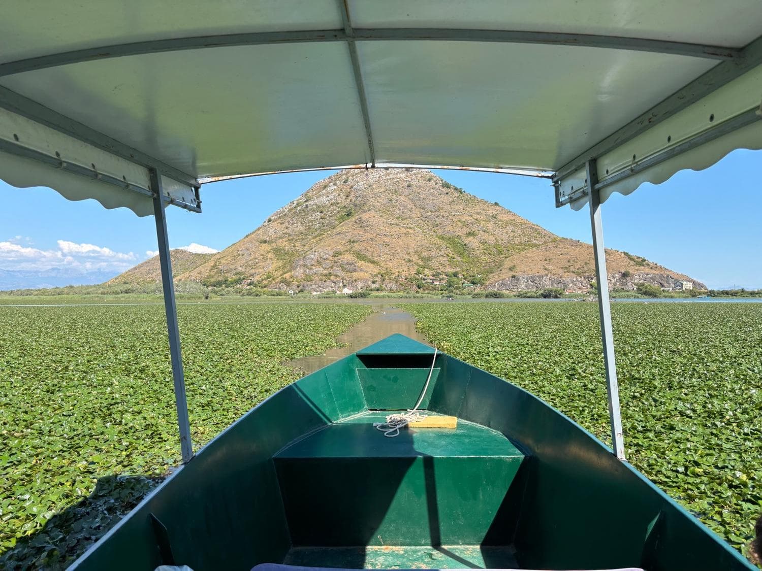 Vista desde un barco tradicional durante una excursión por el lago Skadar