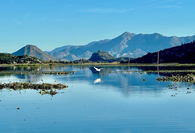 Isla de Vranjina