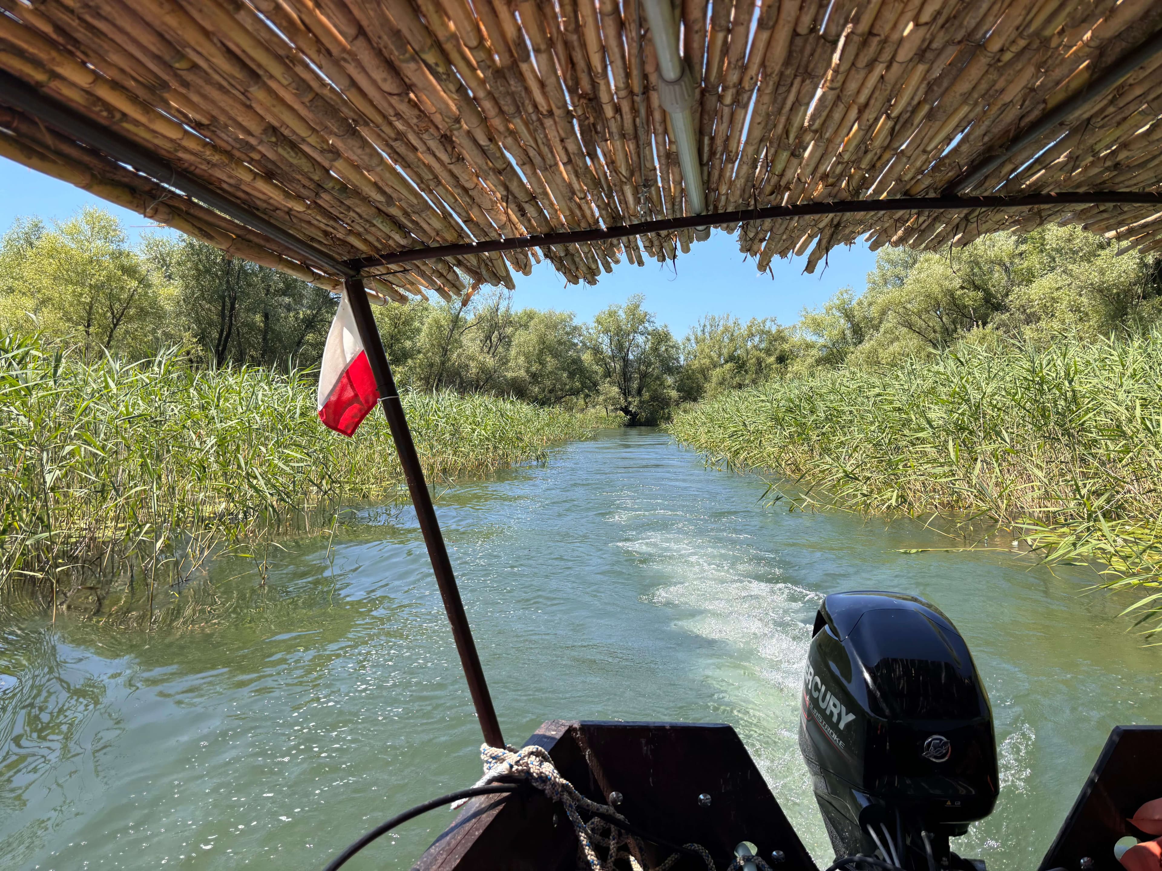 Barco privado en un canal estrecho de cañaverales del río Crnojević durante la excursión 3 Rivers & Lake Unforgettable Jungle en el lago Skadar