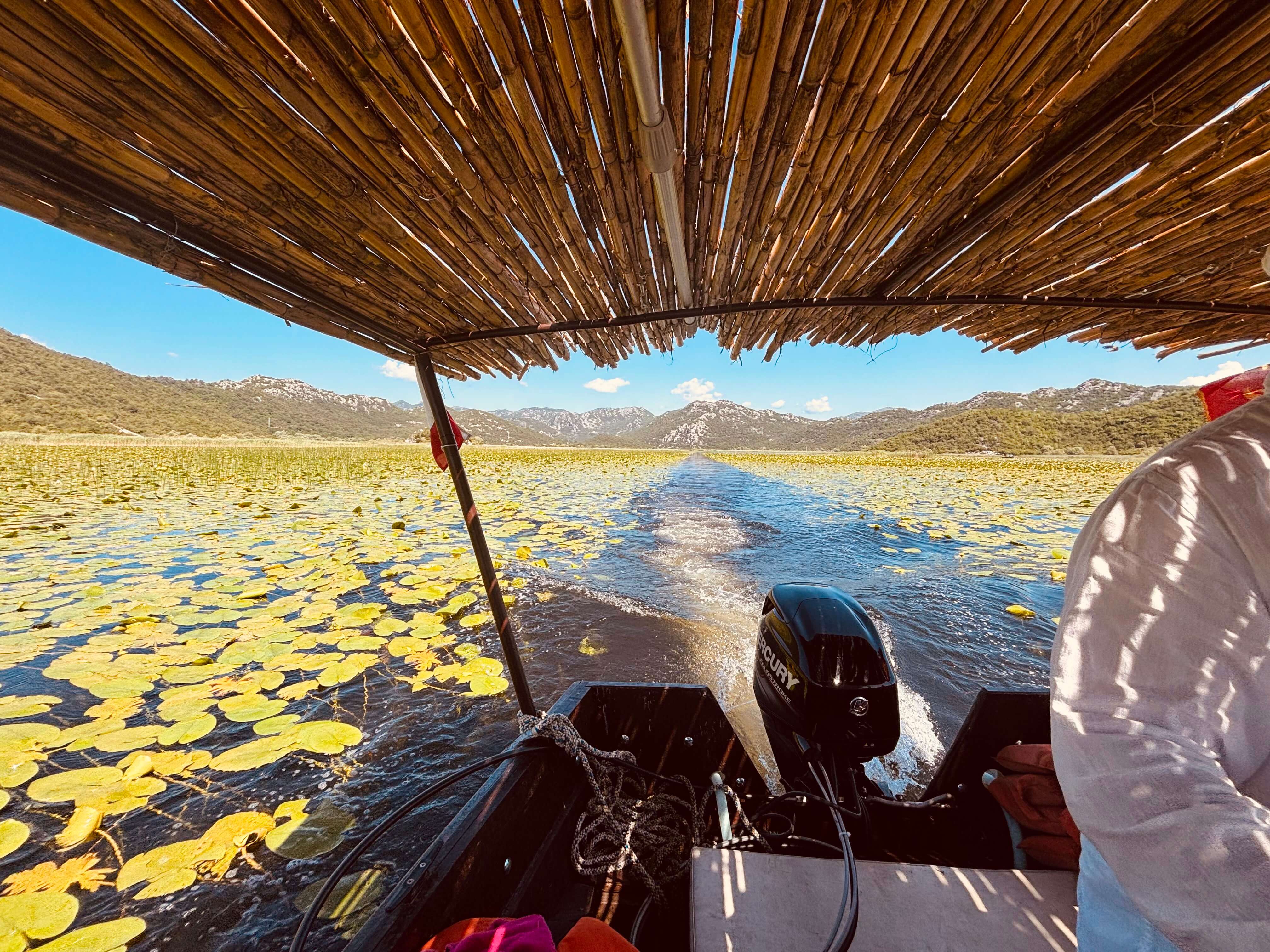 Vista desde un barco privado de Blue Horizon bajo el techo de juncos sobre los nenúfares del lago Skadar