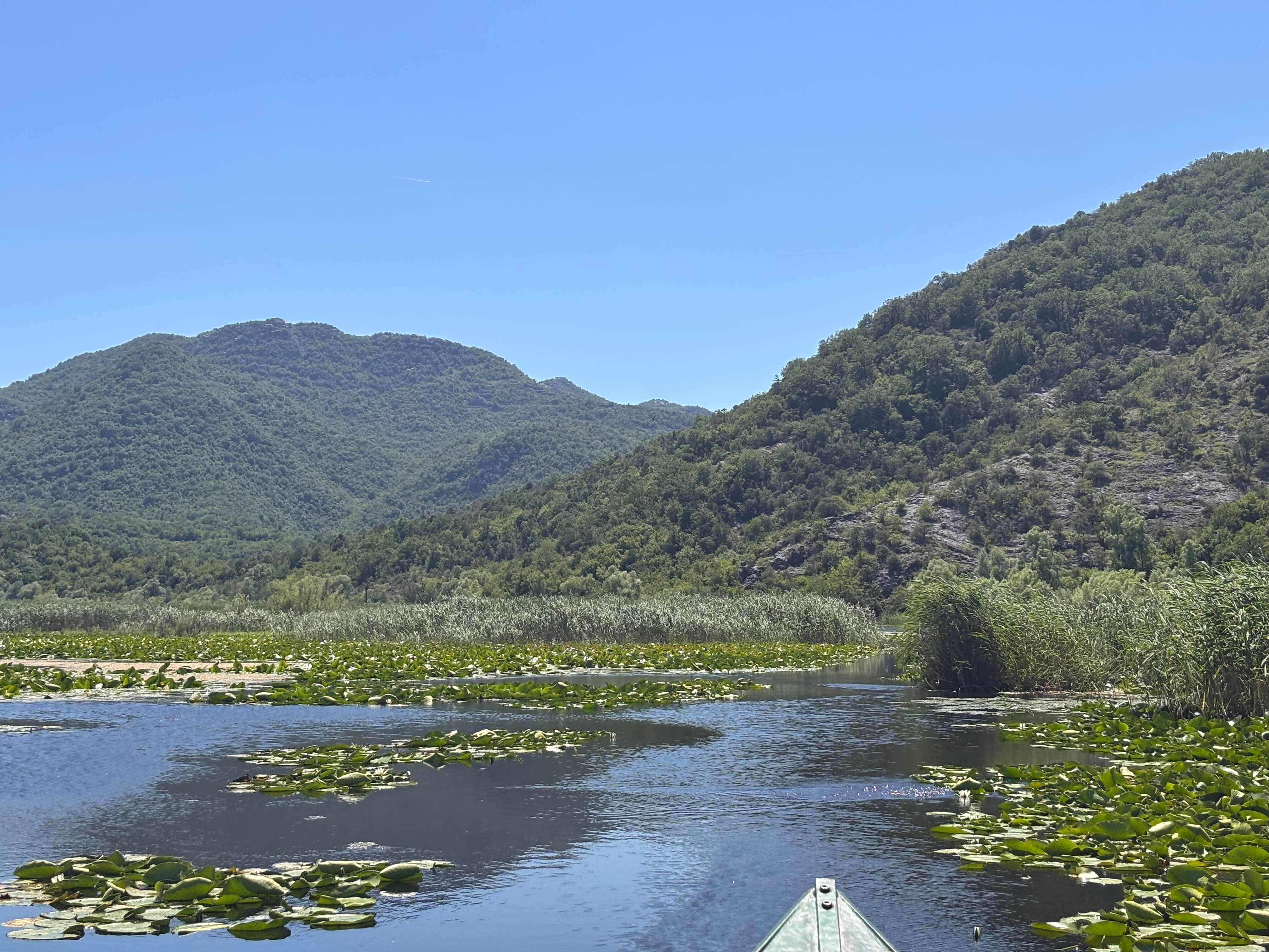 Aguas abiertas y nenúfares enmarcados por montañas en el lago Skadar, Montenegro